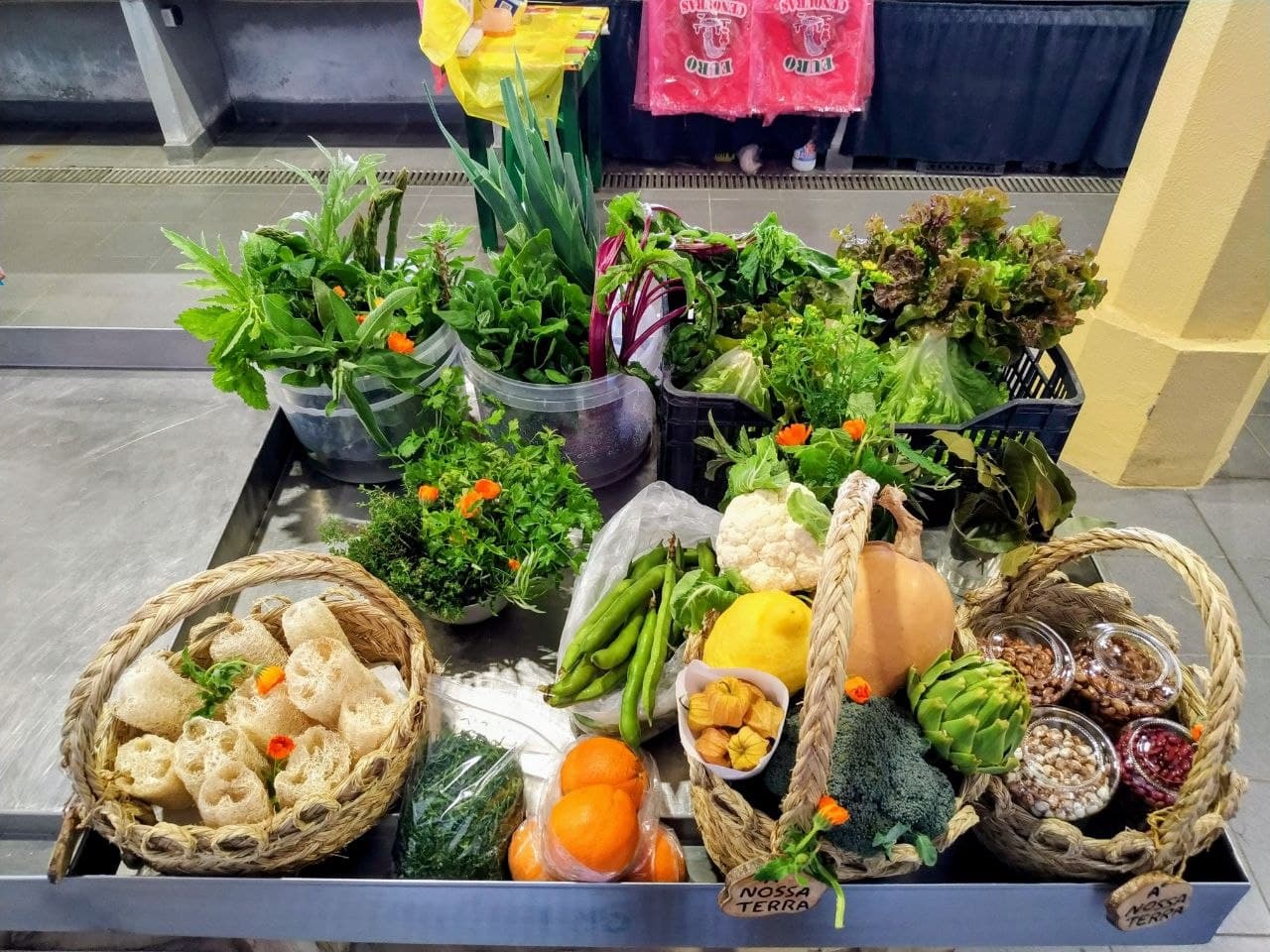 A nossa primeira banca no mercado de Buarcos — pequena, com muito poucos produtos