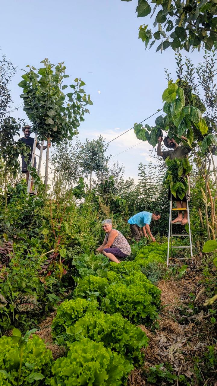 A família do Projeto A Nossa Terra
