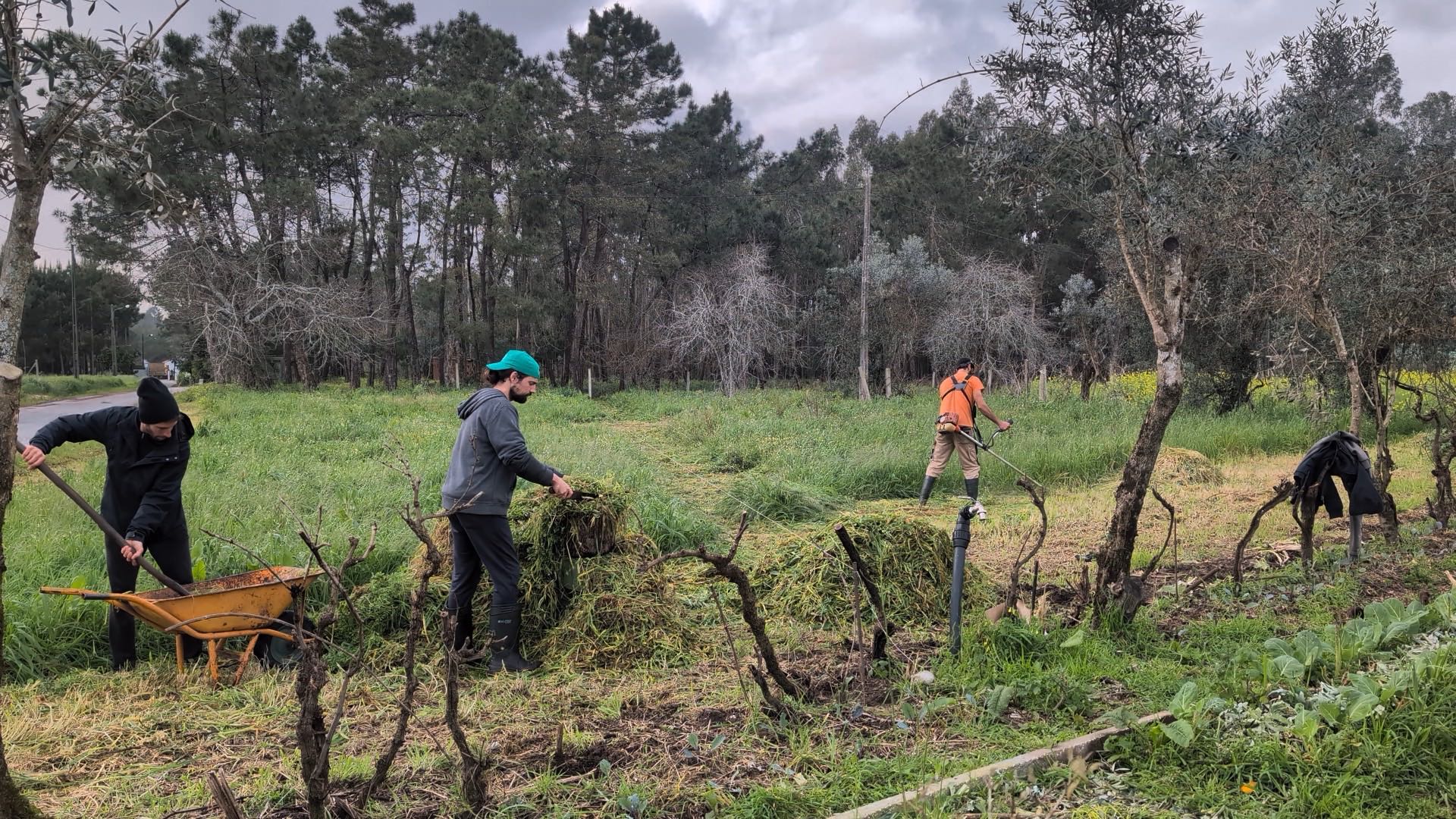Projeto A Nossa Terra