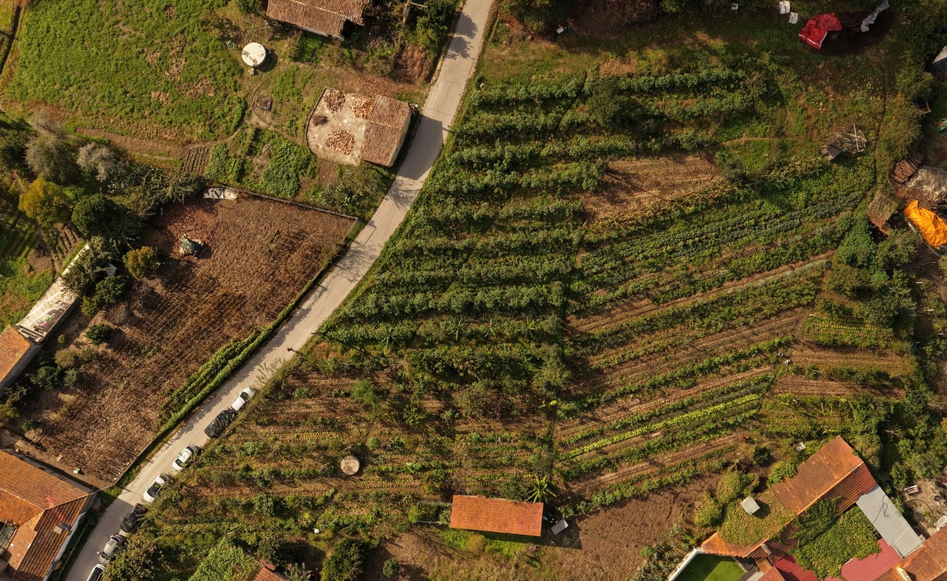 Projeto A Nossa Terra